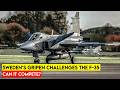 Is Sweden's Gripen a Smarter Choice Than the US F-35? Here’s the Truth
