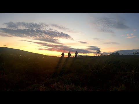 Pekkojen Pojat Kaldoaivissa - Kaukana Koronasta