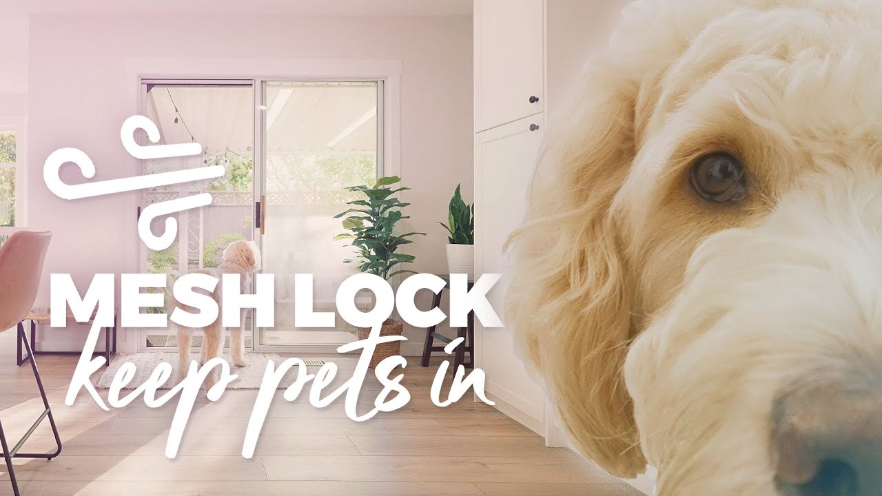 Pets in, Pests out | Phantom Screen with Mesh Lock
