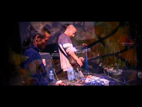 FX049 WANGTONE DVD video Live At Festival Eurockéennes 2004