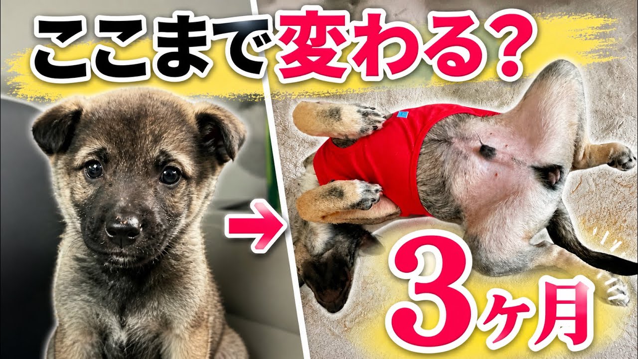 YouTubeサムネイル