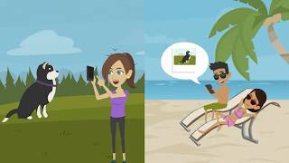 Scout video