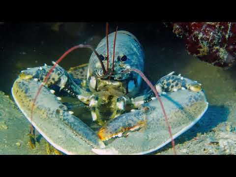 Croatian natural beauties 1