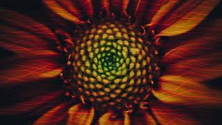 The Jesus and Mary Chain ~ Sowing Seeds