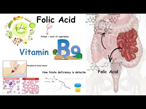 Folate ( Vitamin B9) and folate deficiency