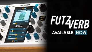 Video thumbnail for The FutzVerb Plug-In by McDSPTV