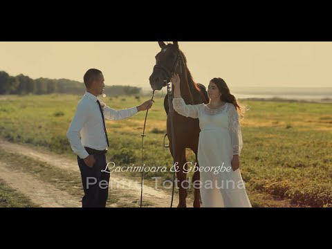 Lacrimioara & Gheorghe, Pentru Totdeauna - Trupa Zero feat Evelyn (Moldova)