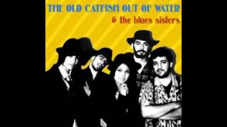 The Old Catfish Out Of The Water - Johnny B  Goode