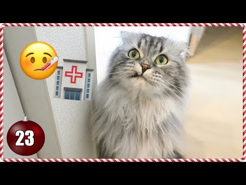 Maro Goes to the Hospital ? Vlogmas Day 23