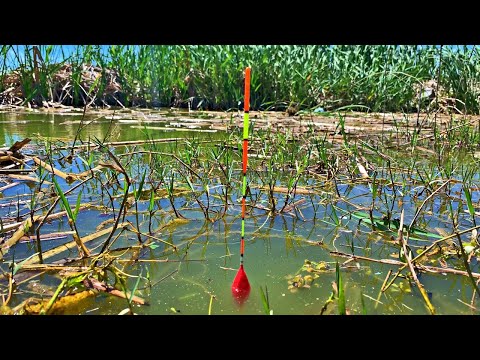 Pescuit cel mai mare secret la pluta o sal zic io