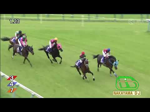 2021.04.17 Nakayama Grand Jump (JPN) - Meisho Dassai