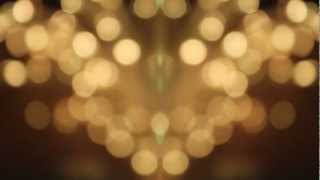 STRFKR - Nite Rite (Fan Video)