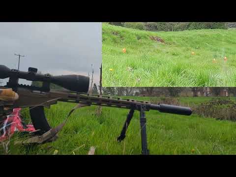 CCI TNT vs FEDERAL PREMIUM V-SHOCK 17 hmr