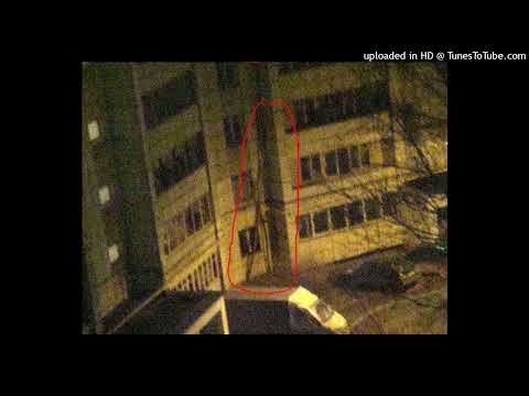 Tasty Cookies, Yam Nor ~ Lady Poison (Original Mix) [nightcore]