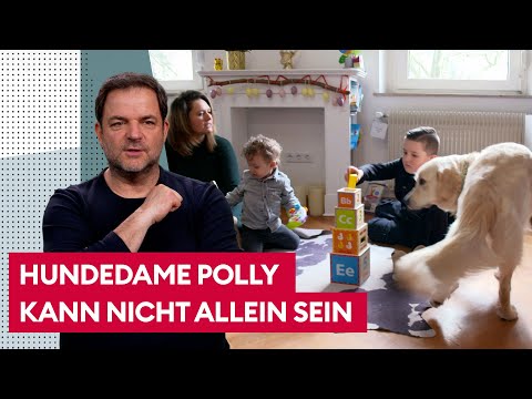 Hund zu Hause alleine lassen? So geht's! | Der Hundeprofi – Rütters Team