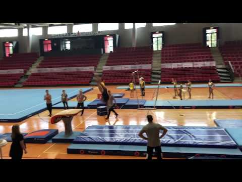 Gymnastics Worlds 2019: Mykayla Skinner 2 (USA)