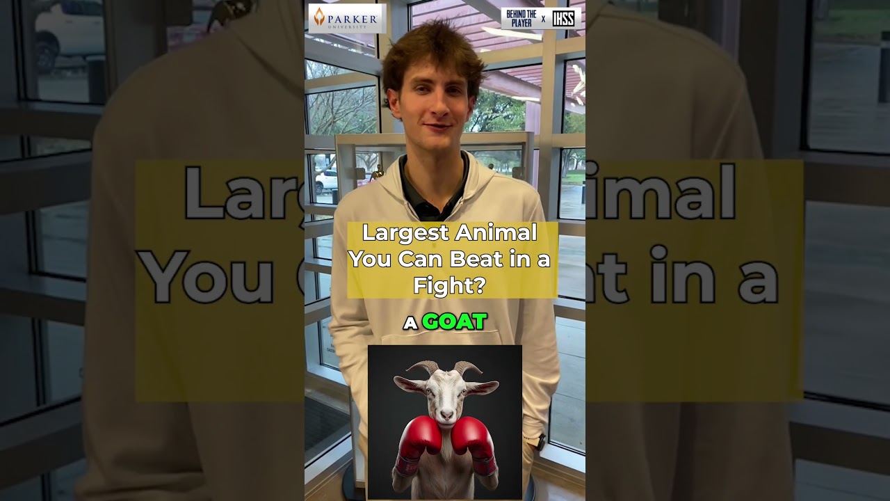 Birdville Forward Sawyer Dotson shared some of his favorite things on and off the court