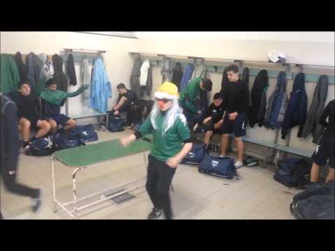 HARLEM SHAKE SESTRESE '98