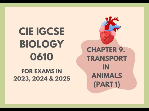 9. Transport in Animals (Part 1) (Cambridge IGCSE Biology 0610 for exams in 2023, 2024 and 2025)
