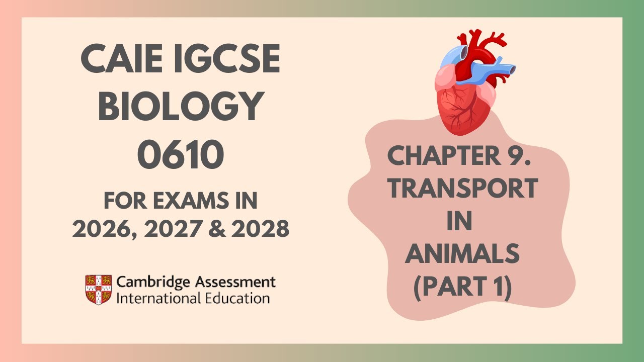 9. Transport in Animals (Part 1) (Cambridge IGCSE Biology 0610 for exams in 2023, 2024 and 2025)