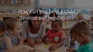 What Why How Self Regulation Video