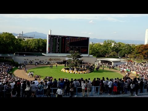 (競馬4K)菊花賞2014・パドック現地撮影1 - Japanese St. Leger Stakes 2014
