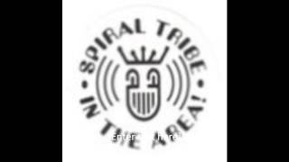 SPIRAL TRIBE PARTY RECORDED 1991