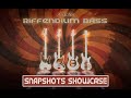 Video 2: RIFFENDIUM BASS - Snapshots Showcase