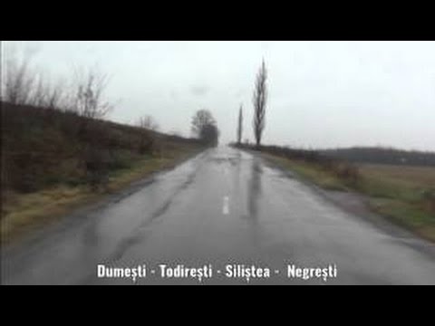 Dumești - Todirești - Siliștea - Negrești