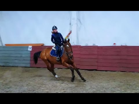 Тренировка в КСК Парадиз 12 02 2019