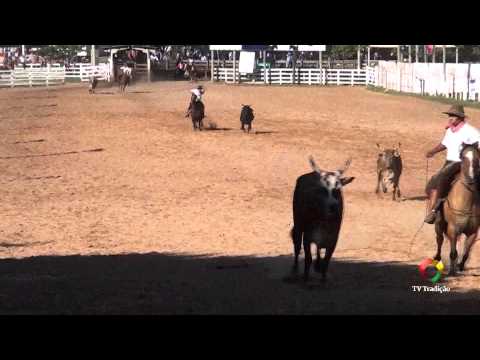 20º Rodeio Internacional do Conesul - 3ª Força