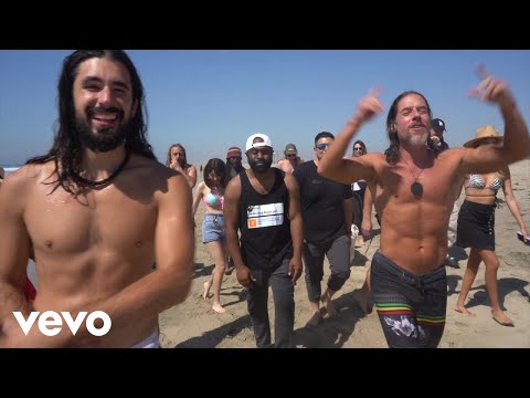 Venice Beach Dub Club & An0maly - Fundemic (Official Music Video)