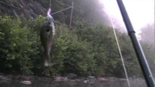 preview picture of video 'Juniata River  - Fishing Footage from 2009-2011'