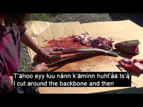 Hän Language - I'm Cutting Fish