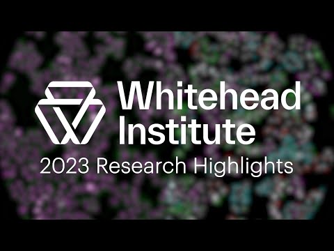 Fall/Winter 2023 | Whitehead Institute Research Highlights