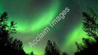 Ronnie Freeman - Don't Give Up On Me