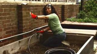 Drip Irrigation For Raised Beds