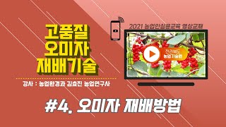 [ 고품질 오미자 재배기술 ] part4. 오미자 재배방법