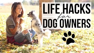 15 Life Hacks for Dog Owners! Pet Care Tips + Tricks | Ariel Hamilton
