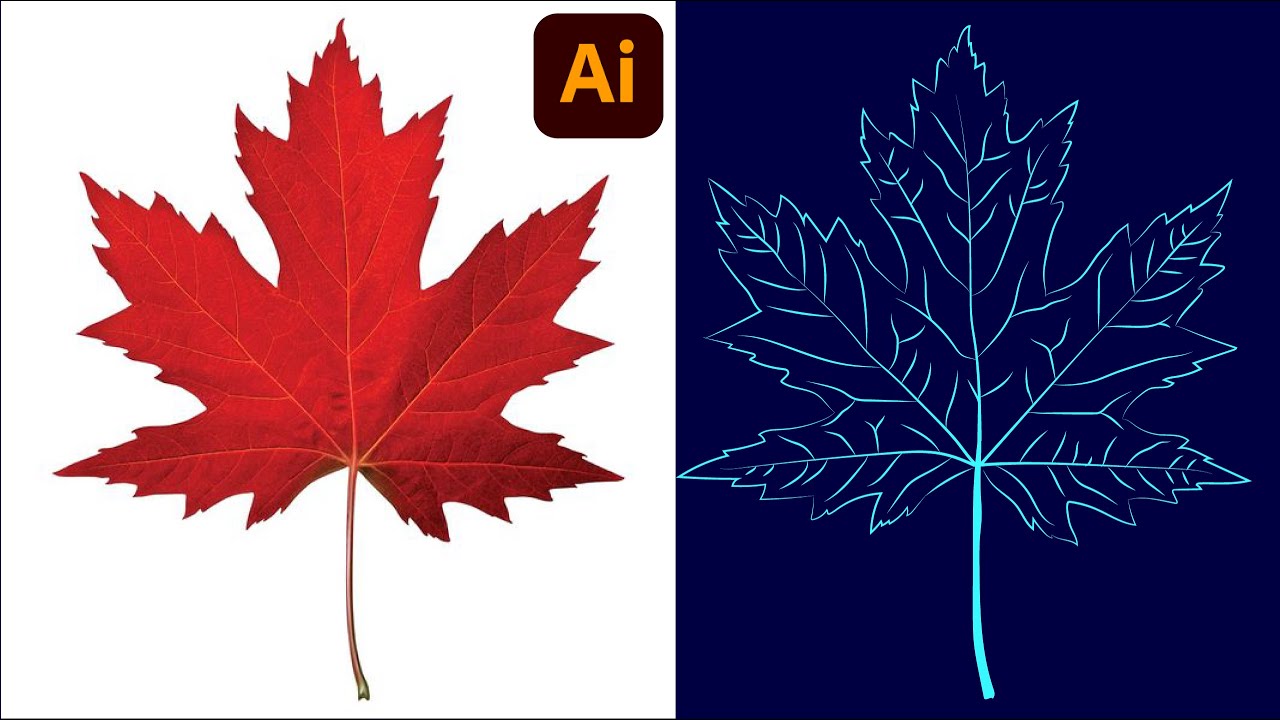 How To Make line Art Red Maple Leaf in Illustrator 2022 |  Line Art tutorial | mrs3star