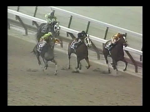 2000 Wood Memorial Stakes