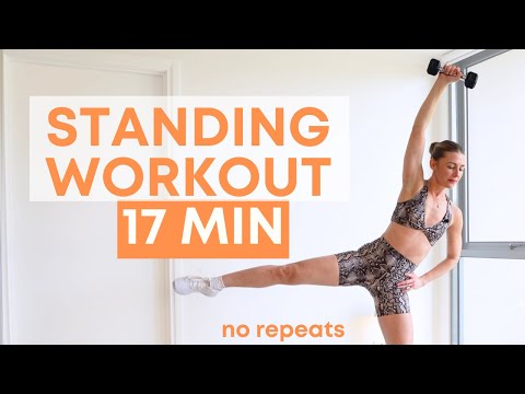 17 MIN FULL BODY HIIT - All Standing Low Impact HIIT, no repeats (no jumping) Dumbbells