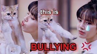 blackpink lisa not letting her cats breathe