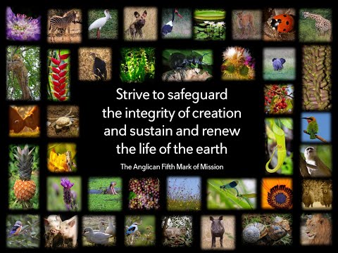 COP26 and the Anglican Communion