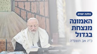 האמונה מנצחת בגדול | הרב שמואל אליהו | הלכה יומית | כ״ה אב תשפ״ה (הרב שמואל אליהו) - התמונה מוצגת ישירות מתוך אתר האינטרנט יוטיוב. זכויות היוצרים בתמונה שייכות ליוצרה. קישור קרדיט למקור התוכן נמצא בתוך דף הסרטון