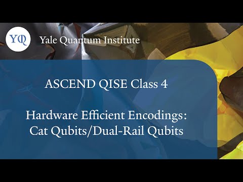 Takahiro Tsunoda: Hardware Efficient Encodings: Cat Qubits and Dual-Rail Qubits