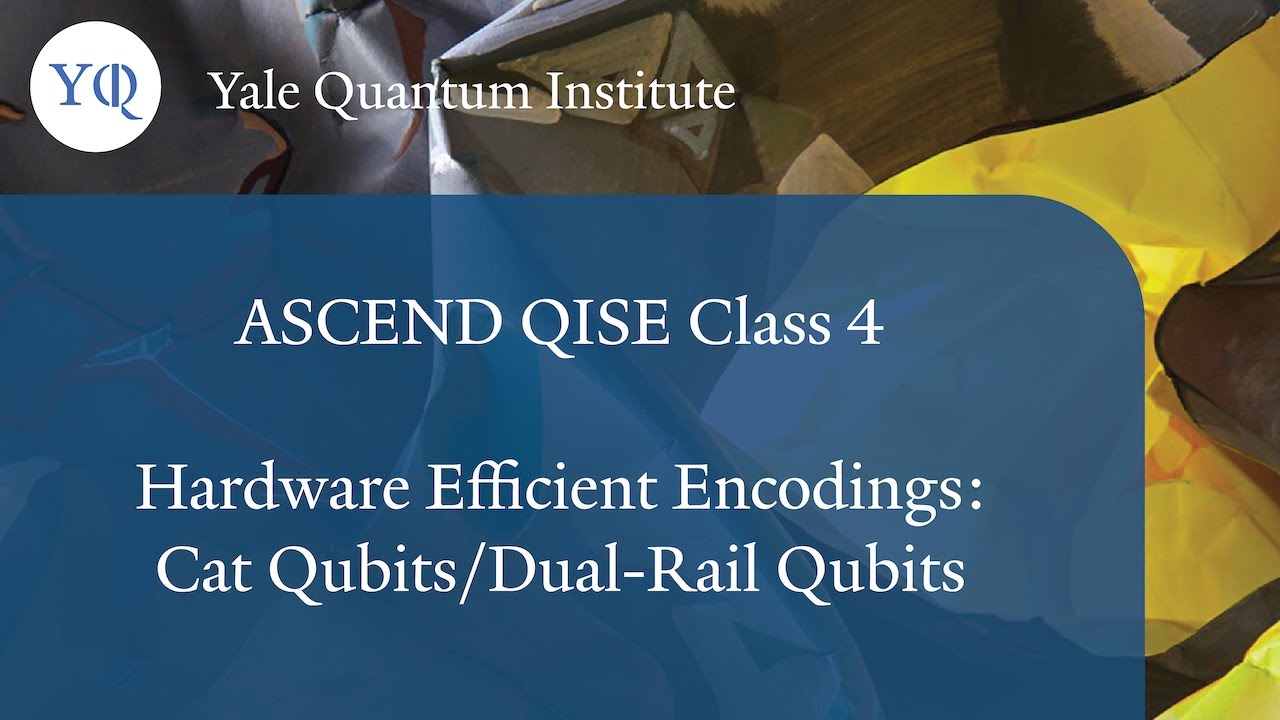 Takahiro Tsunoda: Hardware Efficient Encodings: Cat Qubits and Dual-Rail Qubits