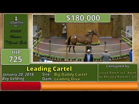 Winter Mixed Sale Day Three, Hip 725 - Leading Cartel, $180,000