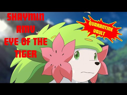 Eye of the Tiger (Shaymin AMV) *Quarantine Vault*