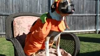 Happy Halloween from LBR!